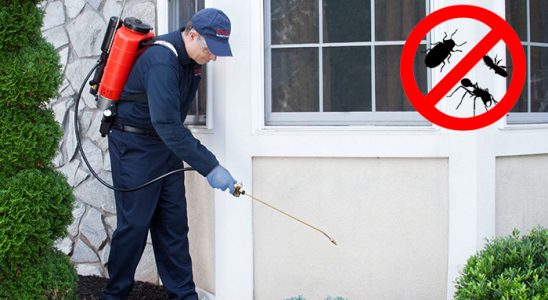 Bağcılar Akrep İlaçlama böcek ilaçlama ve haşere kontrolü — ilaclama-tr.com
